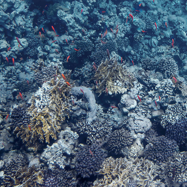 ZETTA ANTSAKLI MARE NOSTRUM ZETTA ANTSAKLI MARE NOSTRUM