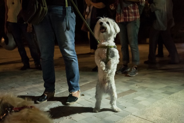 Θανάσης Καρατζάς Θανάσης Καρατζάς