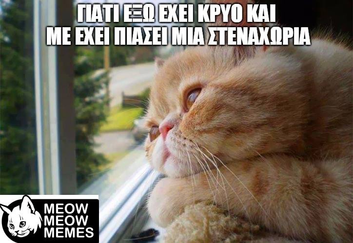 Τα yolo της Παρασκευής