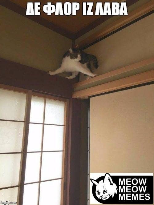 Τα yolo της Δευτέρας Τα yolo της Δευτέρας