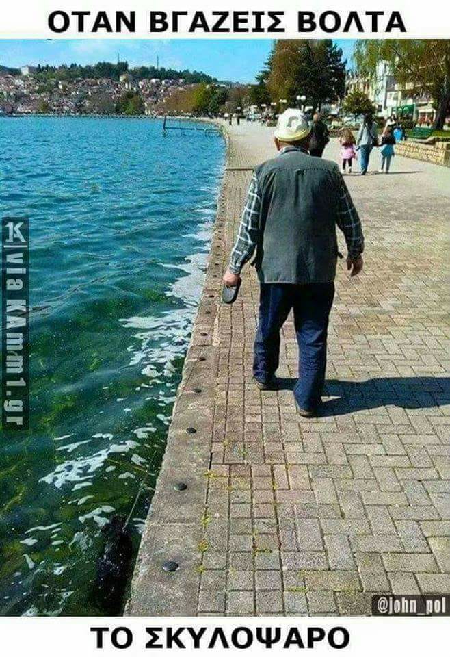 Τα yolo της Δευτέρας Τα yolo της Δευτέρας