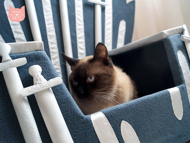 Ένας Σιδηρούν Θρόνος για τη γάτα σας