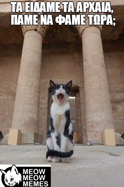 Τα YOLO της Τετάρτης Τα YOLO της Τετάρτης