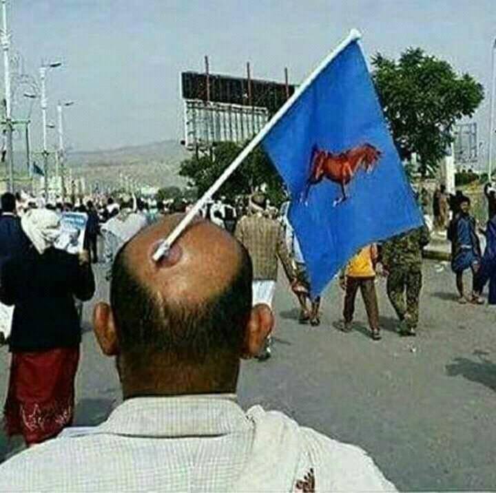 Τα yolo της Πέμπτης