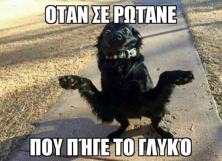 Τα YOLO της Τετάρτης Τα YOLO της Τετάρτης