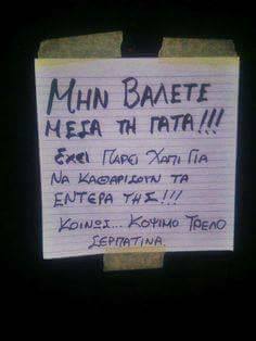 Τα YOLO του Σαββάτου