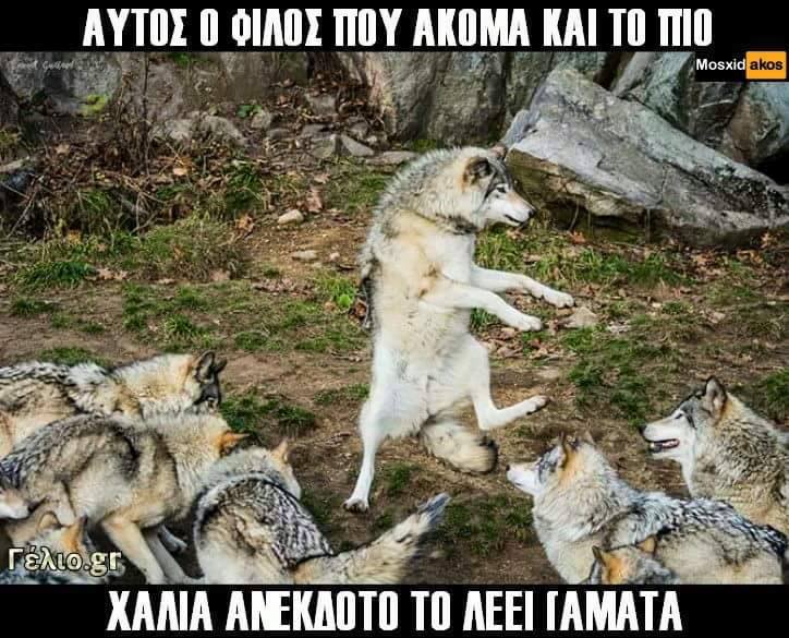Τα YOLO του Σαββάτου