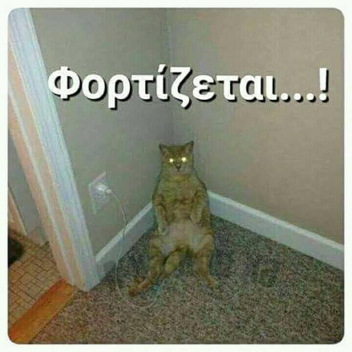 Τα YOLO της Τρίτης