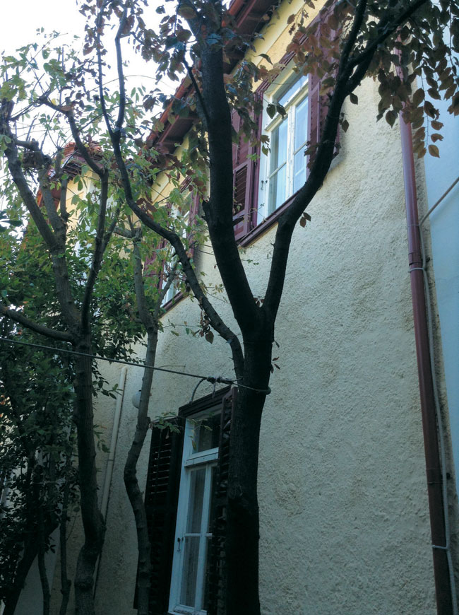 Έπαυλη Ζούρα