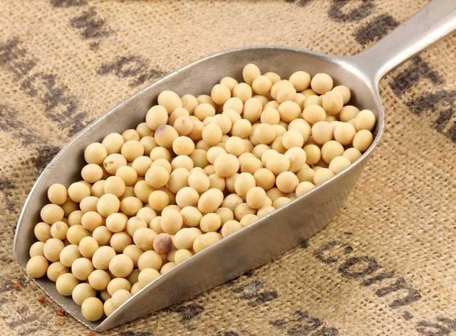 Η κατανάλωση σόγιας, λόγω και των αντιοξειδωτικών της ιδιοτήτων, δρα ενάντια στην εμφάνιση καρκίνου του μαστού Η κατανάλωση σόγιας, λόγω και των αντιοξειδωτικών της ιδιοτήτων, δρα ενάντια στην εμφάνιση καρκίνου του μαστού