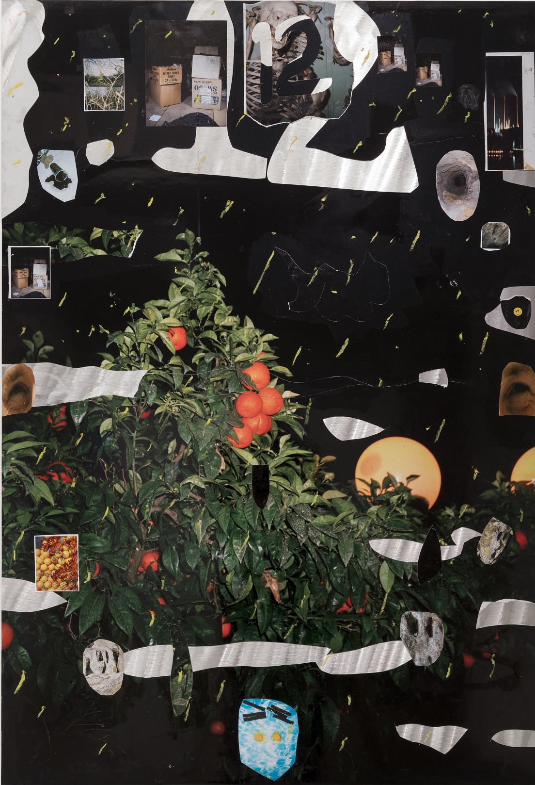 Long Journey, Fever-Dream