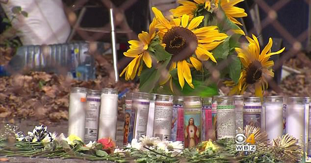 Δύο πιτμπούλ κατασπάραξαν αγοράκι