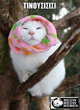 Τα yolo της Κυριακής Τα yolo της Κυριακής