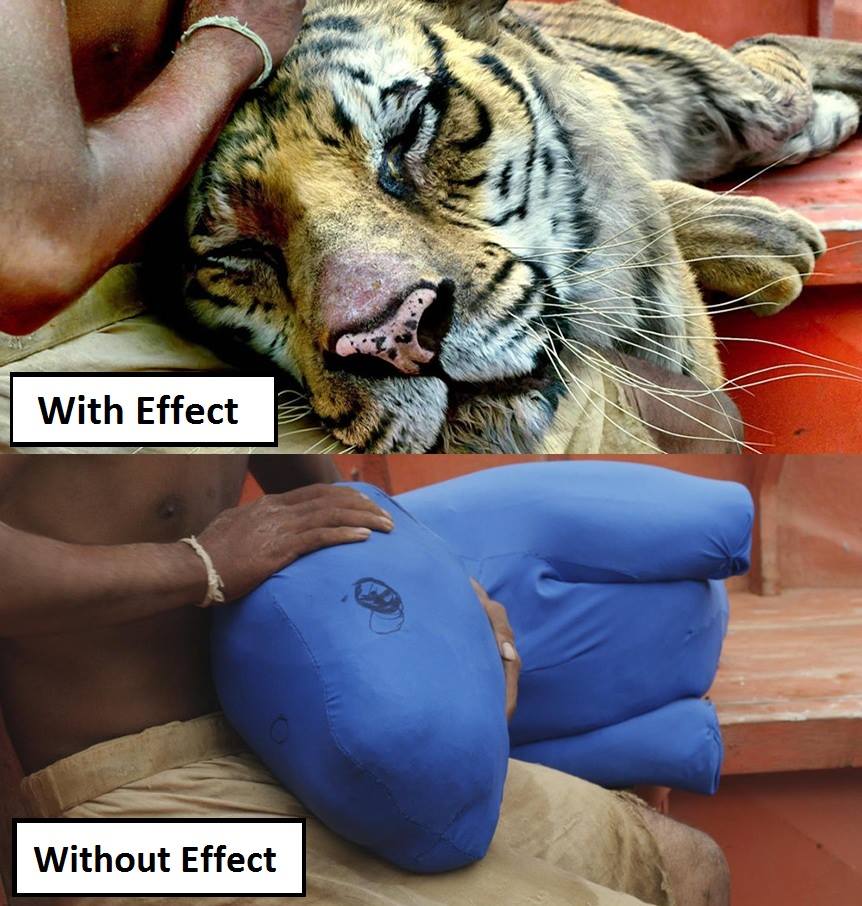 Η αλήθεια και το ψέμα του σινεμά Η αλήθεια και το ψέμα του σινεμά