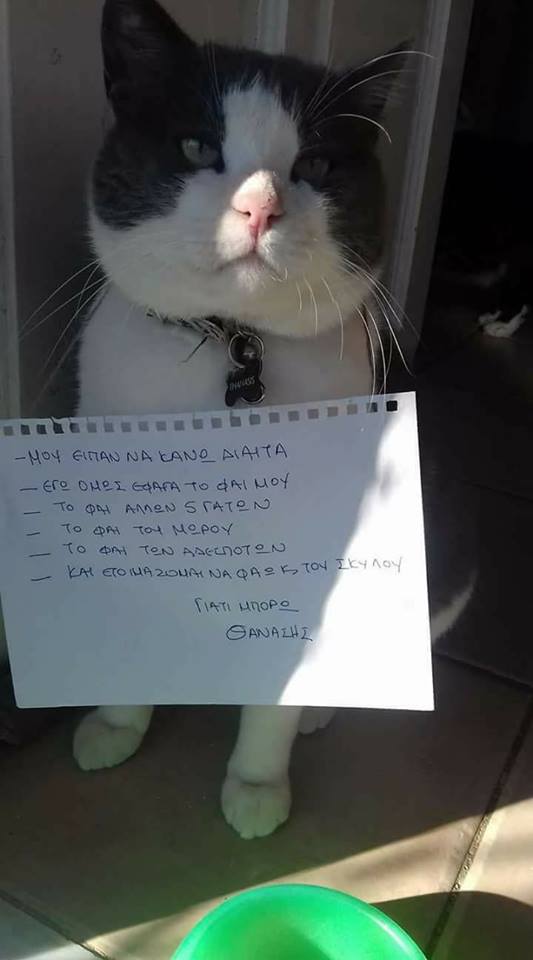 Τα YOLO της Πέμπτης