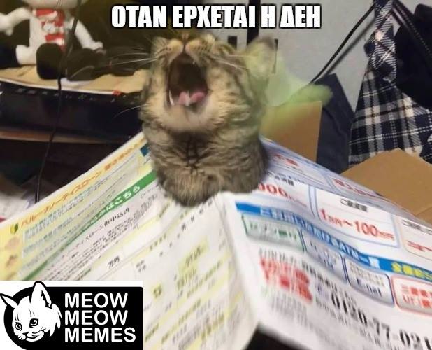 Τα YOLO της Τετάρτης