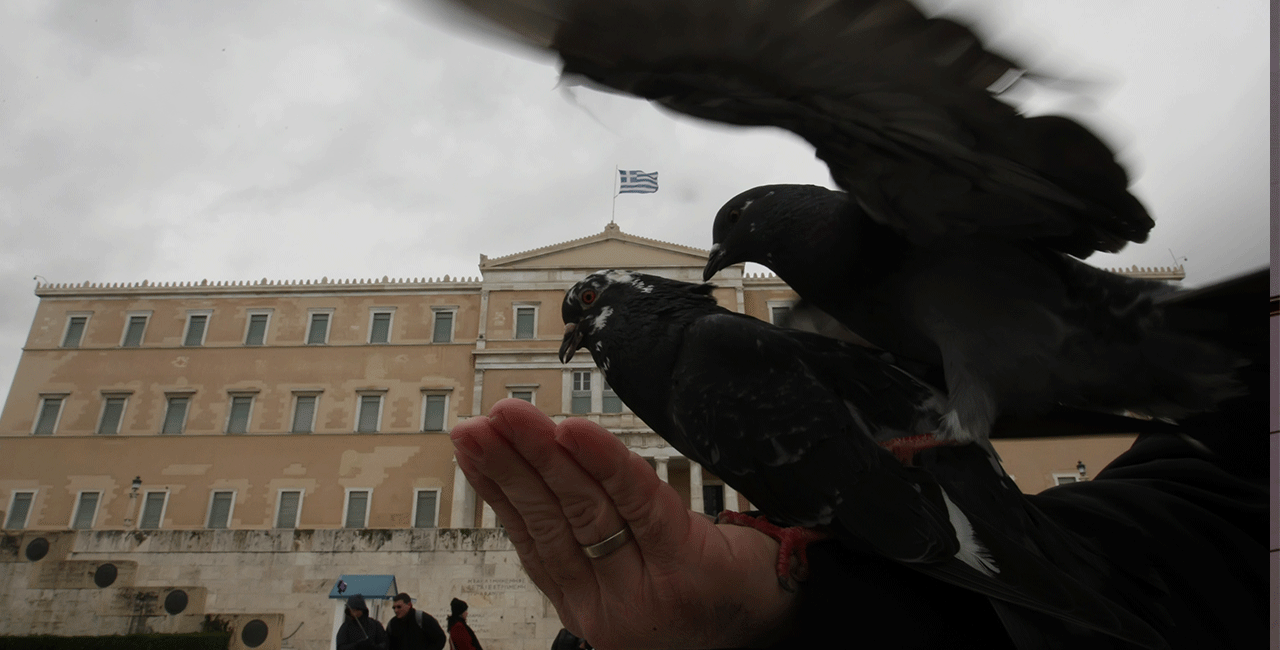 Περιστέρια μπροστά στο Μνημείο του Αγνώστου Στρατιώτη
