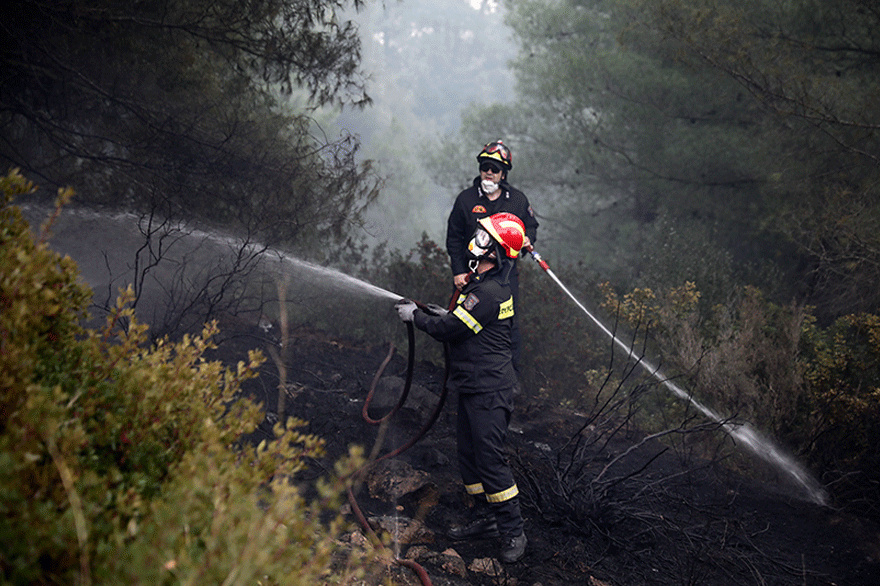 Δασική πυρκαγιά