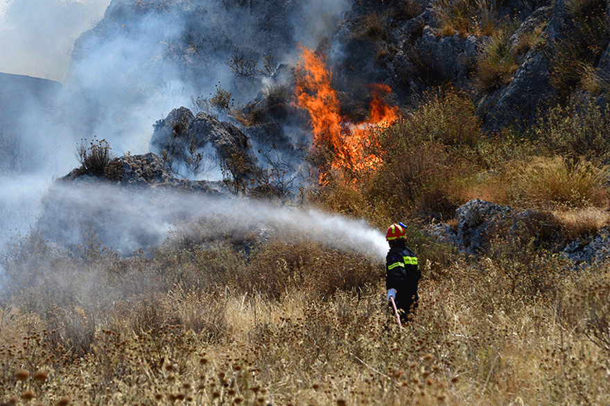 Πυροσβέστης