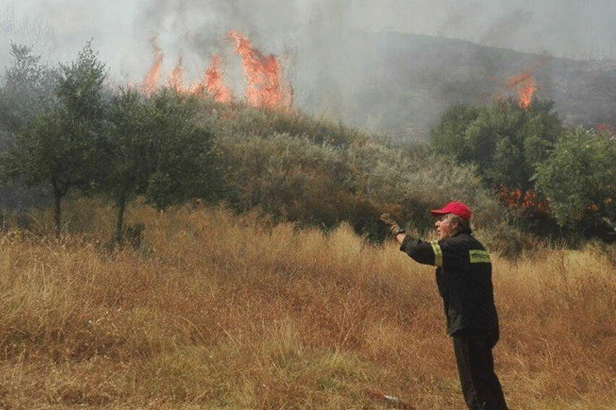 Αγροτοδασική πυργαγιά στο Βροντόνερο Ζακύνθου