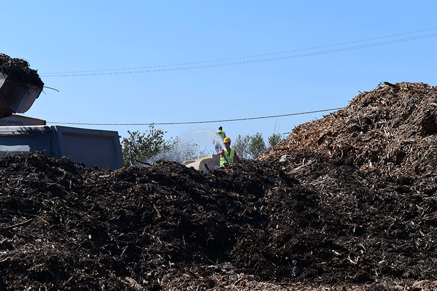 Μάτι: Καθαρισμός οικοπέδου από τόνους καύσιμης ύλης