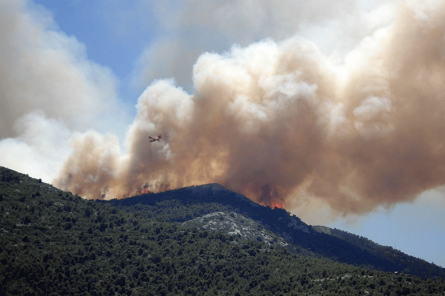 Δασική πυρκαγιά