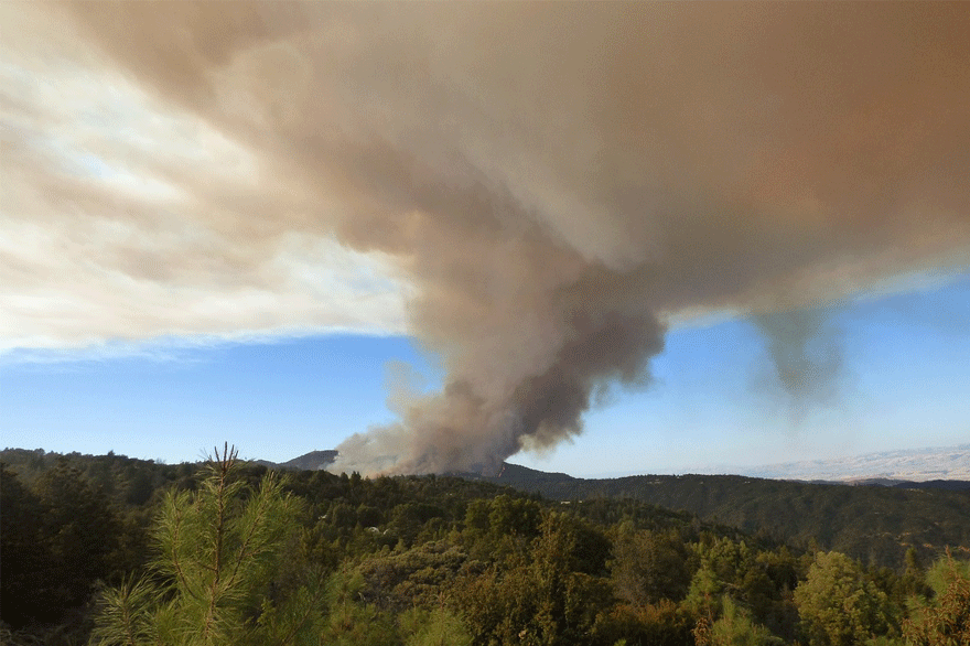 Δασική πυρκαγιά