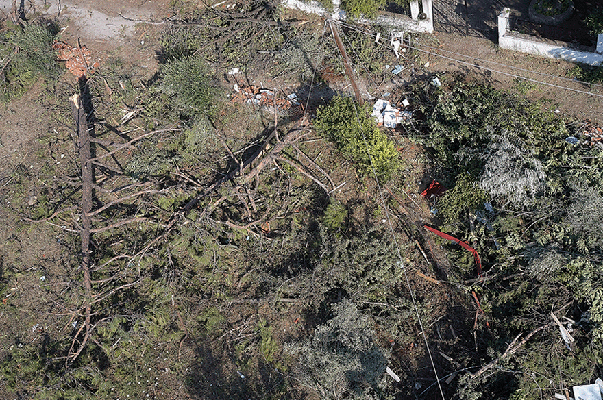 Πτώσεις δέντρων λόγω κακοκαιρίας στη Χαλκιδική