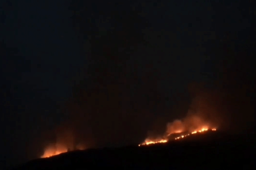 Δασική πυρκαγιά