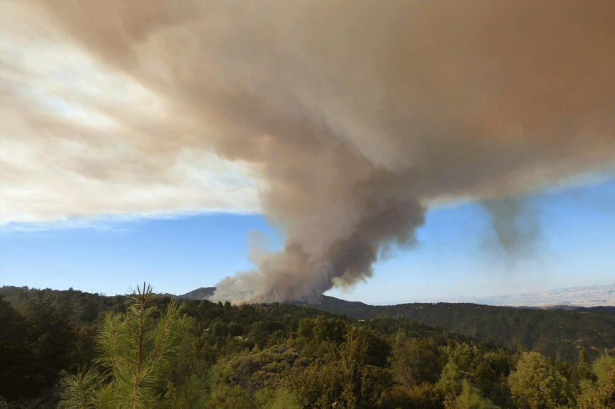 Δασική πυρκαγιά