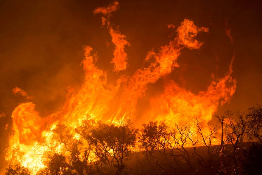 Δασική πυρκαγιά