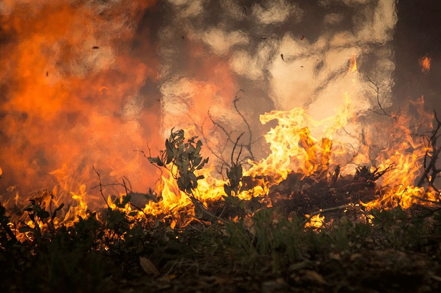 Πυρκαγιά