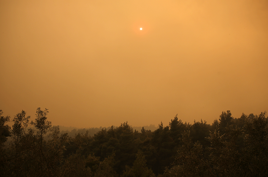Πυρκαγιά στην Εύβοια