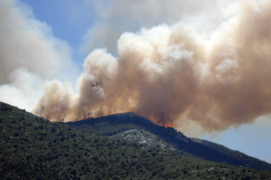 Δασική πυρκαγιά