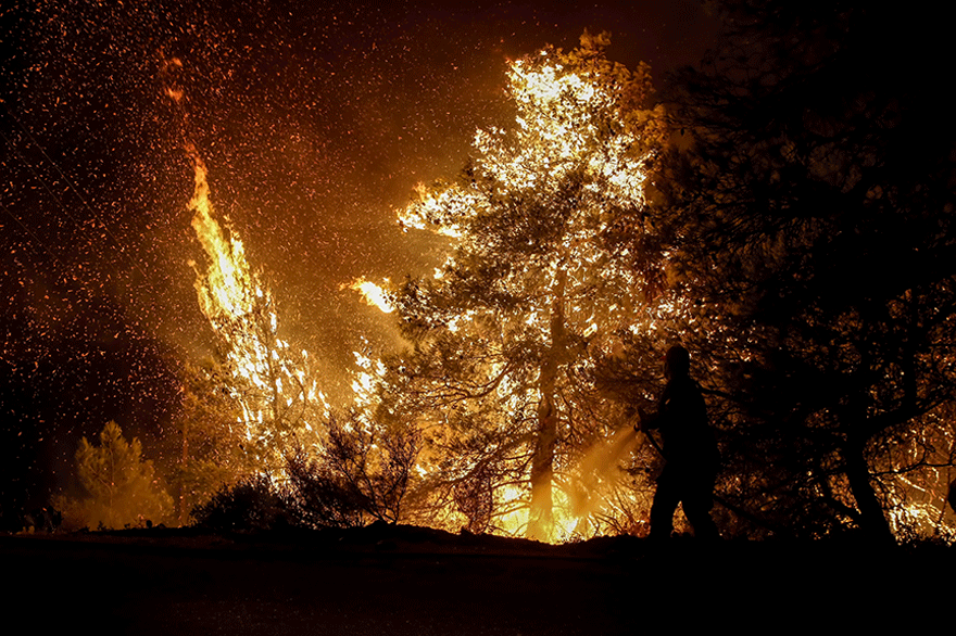 Δύσκολη νύχτα στην κεντρική Εύβοια με τις φλόγες να πλησιάζουν τον οικισμό Πλατανιά