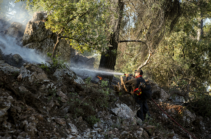 Δασική πυρκαγιά στην Εύβοια