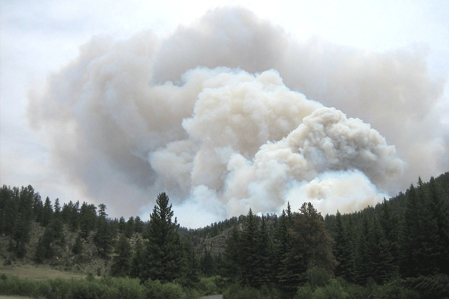 Δασική πυρκαγιά