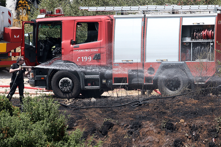 Δασική πυρκαγιά