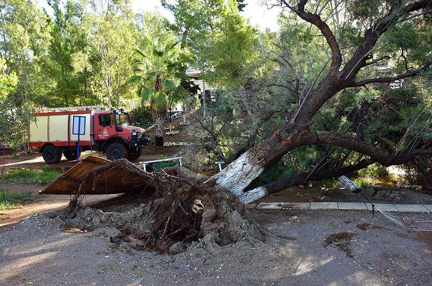 Πτώση δέντρου από την κακοκαιρία