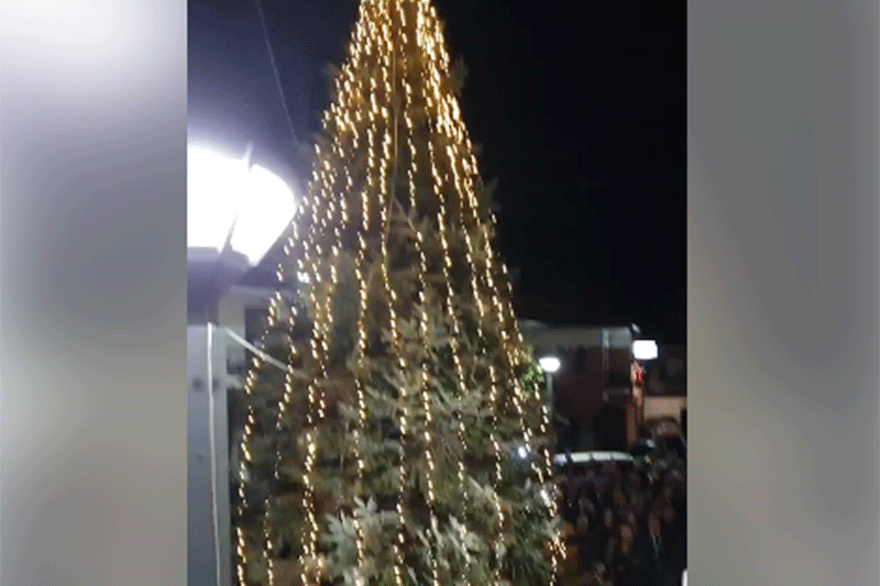 Χαλκιδική: Φωταγωγήθηκε το πρώτο Χριστουγεννιάτικο δέντρο στην Ελλάδα