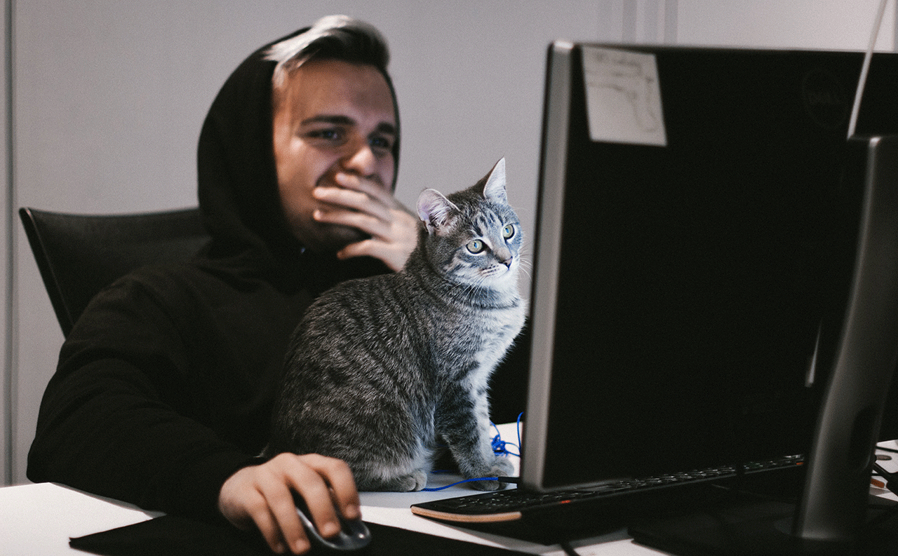 Τηλεργασία και κατοικίδια