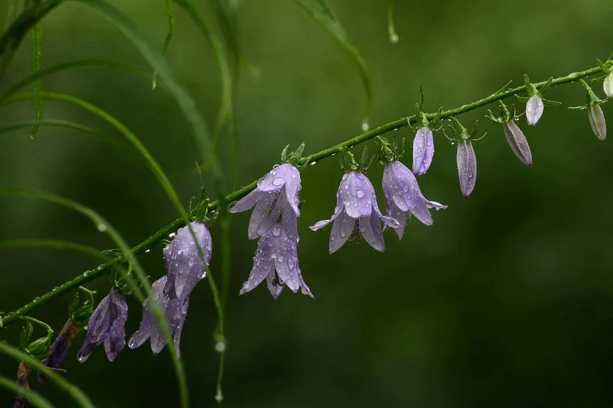 Βροχερός ο καιρός αύριο Πέμπτη 2 Δεκεμβρίου 2021, σύμφωνα με την πρόγνωση