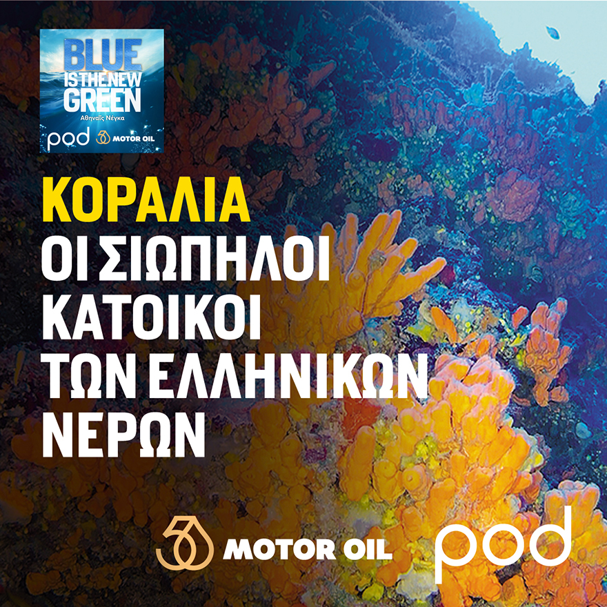 Podcast «Blue is the new green» με την Αθηναΐδα Νέγκα: Κοράλλια, οι σιωπηλοί κάτοικοι των ελληνικών νερών