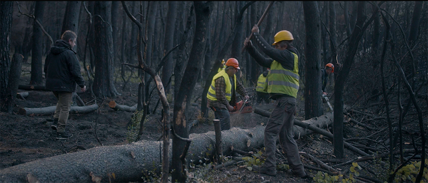 Βαρυμπόμπη: Δείτε το έργο αποκατάστασης και προστασίας της φύσης που πραγματοποιήθηκε μετά τις πυρκαγιές του 2021.
