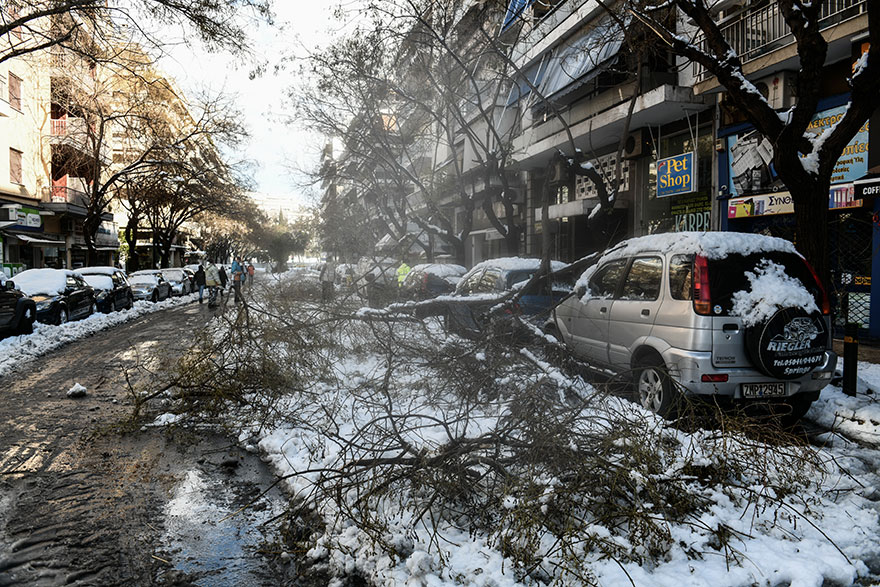 Πτώσεις δέντρων από την κακοκαιρία «Ελπίδα» στην Αθήνα