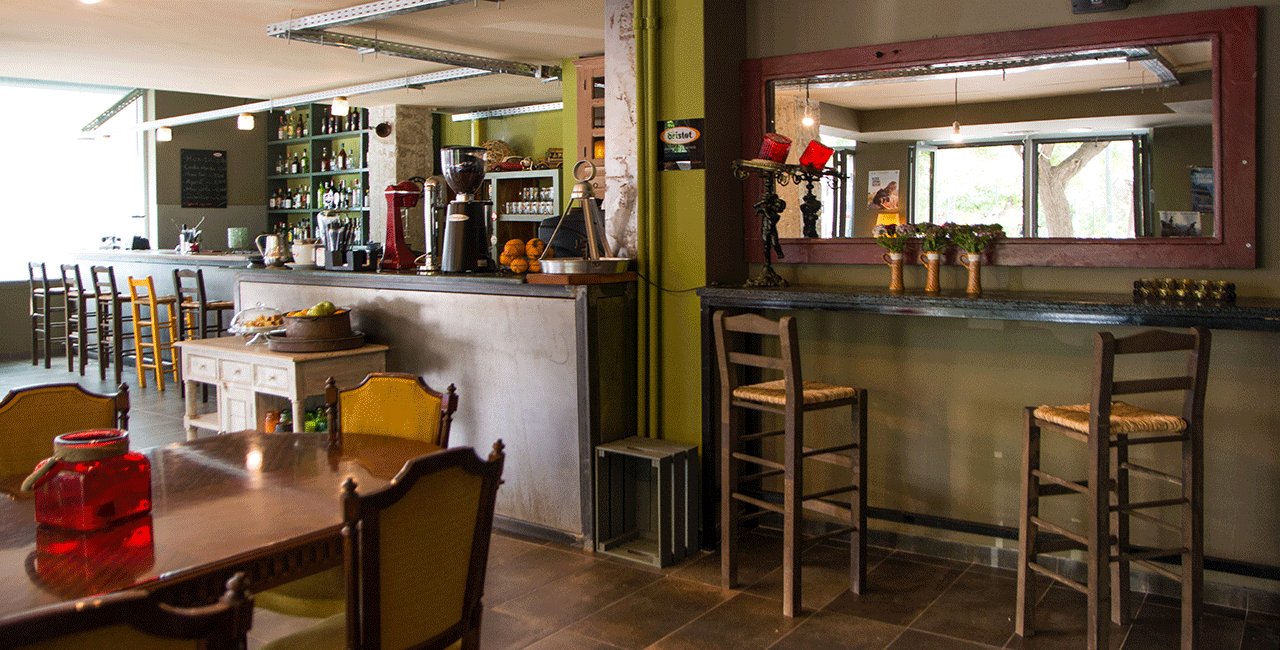 Σαλός Λαγός