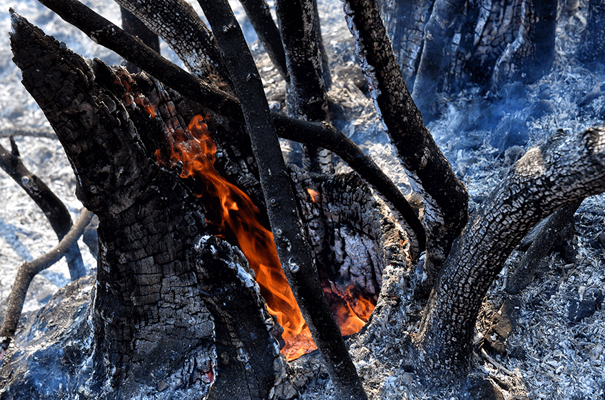 Πυρκαγιά σε αγροτική έκταση στο Λουτράκι
