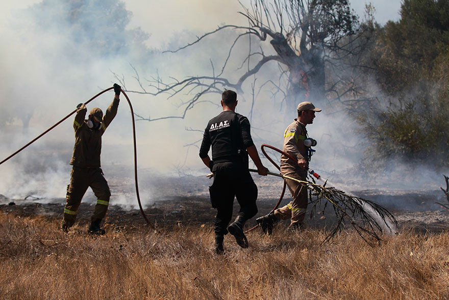 Πυρκαγιά στην Κερατέα: Πυροσβέστες, εθελοντές και αστυνομικοί σηκώνουν τη μάνικα