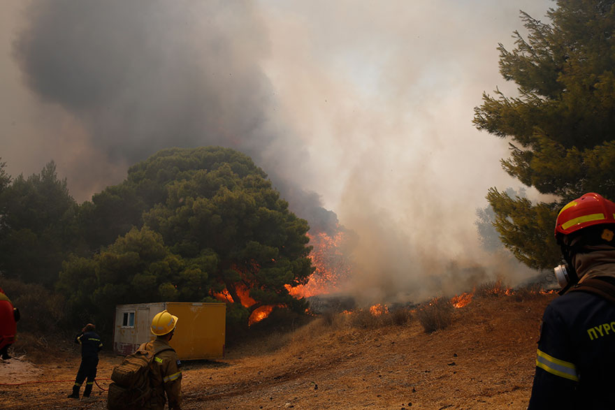 Η φωτιά κάνει στάχτη πεύκα στην Κερατέα