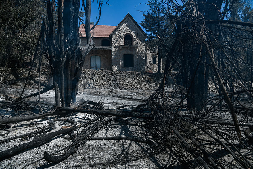 Στάχτη και αποκαΐδια στο Τατόι στα πρώην βασιλικά κτήματα μετά το πέρασμα της φωτιάς